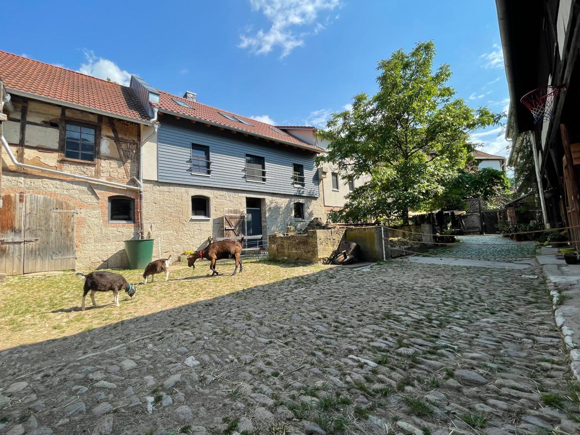 Ferienhof"Waldesel Rippersroda" Exterior photo